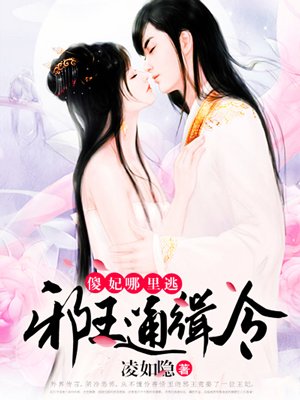 邪王通緝令：傻妃,哪里逃